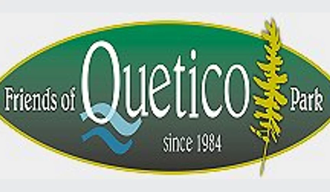 Summer Student Cashier