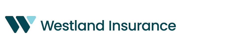 Trainee – Insurance Advisor