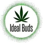 Ideal Buds